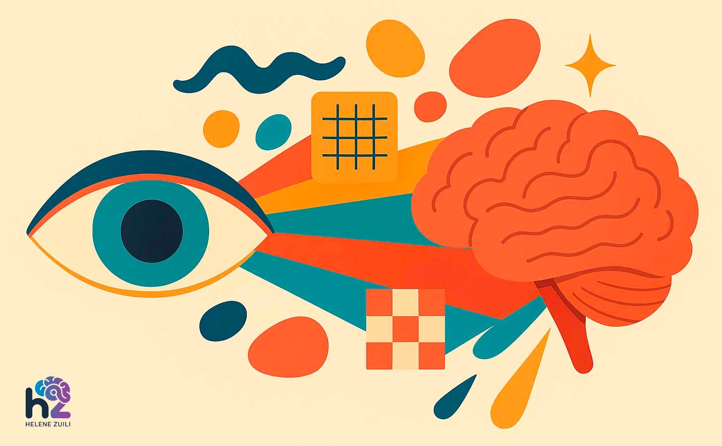 Perception visuelle design